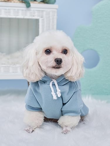 QWINEE Basic Dog Hoodie Sweatshirt Puppy Sweater Warm Cat Costumes Pet Clothes for Chihuahua Puppy Kitten Small Medium Dogs Multicolored X-Large