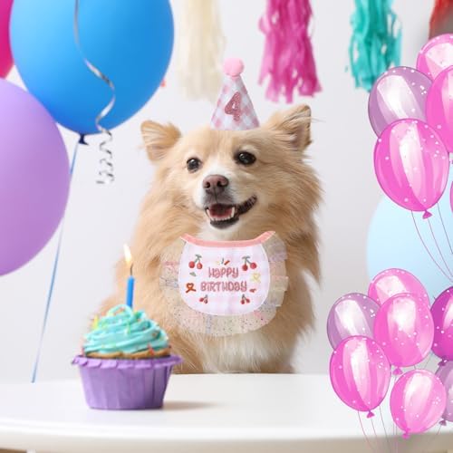 Chicingyou Dog Birthday Outfit Set Lace Bib Number Stickers,Cute,Pink