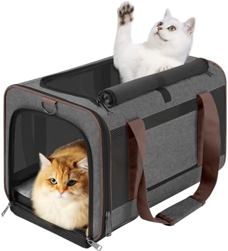 GAPZER Large Cat Carrier Soft, Collapsible Travel Pet Carry Bag, Small Dogs | Large Kitty Cat 20 lbs Maine Coon, Top Load Transport Small Puppy Dog Kennel, Yorkie Little Dog 10lbs, Ventilation Brown