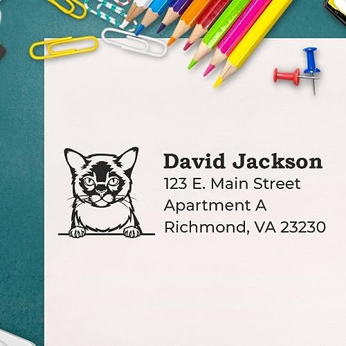 Burmese Custom Mailing Address Stamper - 7/8 x 2-1/4 - Perfect Address Stamps for Library Books - Made to Order Stamp for Small Business Owners in Myanmar - Efficient Shipping Solution