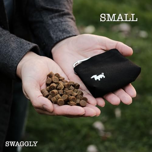 Small Dog Treat Pouch – Slim Magnetic Pocket Dog Treat Bag for Walking & Training – Discreet Clip On Treat Pouch for Leash, Waistband or Pocket – Mess Free Storage (Black/Gray)