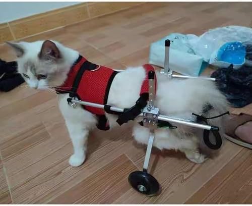Dog Wheelchair for Back Legs Adjustable Pet Mobility Cart for Hind Leg Durable，Breathable Mobility Aid for Hip Dysplasia Support & Rehab Walking