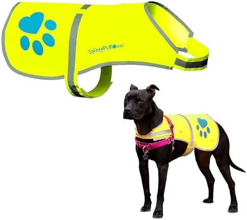 Reflective Dog Vest, Hi Vis Safety Gear for Low-Light Morning & Night Walks