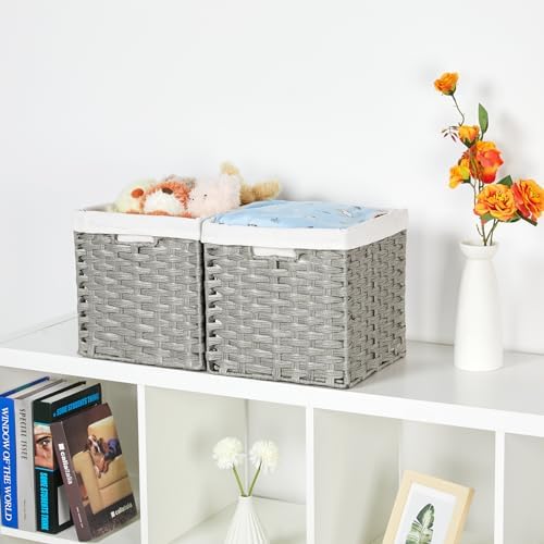 Bidtakay Wicker Cube Baskets with Liners Cube Storage Organizer for Shelves Closet 11 inch 2 Pack Decorative Hand-Woven Imitation Wicker Storage Bins for Organizing Pantry Bedroom Light Grey