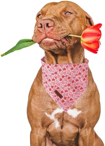 Valentine Dog Bandana, Pink Heart Triangle Bid Scarf for Small Medium Dog, Cotton Pet Kerchief for Girl Boy Dogs or Cats, Red Dog Bandana, Cute Adorable Puppy Bandana