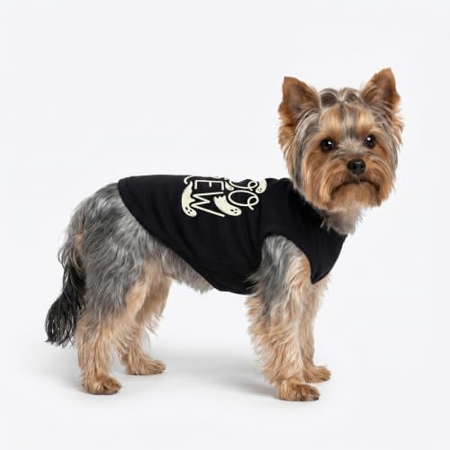 Fitwarm Boo Crew Halloween Dog Shirt, Spooky Costumes for Small Dogs Boy Girl, Funny Pet Outfit, Black, White, Small