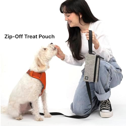 Cleverpup Porter 2-in-1 Dog Gear Travel Backpack - 10 Pockets, Heather Grey