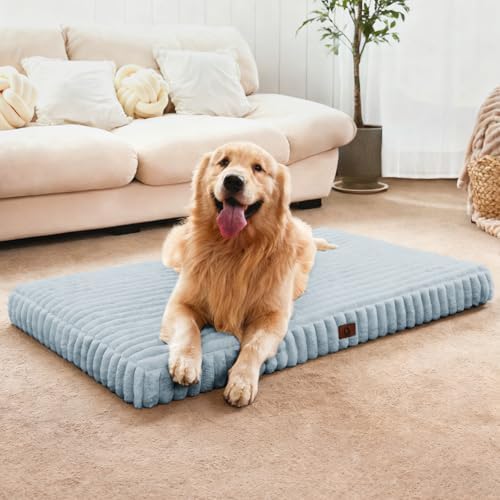 Dog Beds for Large Sized Dog, Orthopedic Foam with Waterproof Lining | Egg crate foam for joint support. Soft plush surface. Non-slip bottom. Removable & machine washable cover. OEKO-TEX certified