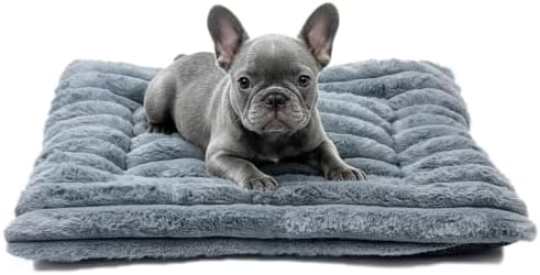 20 Inch Ultra Soft Comfy Pet Bed, Tiny Dog Bed, Washable Anti-Slip Crate Pad Sleeping Cushion Mat for XX-Small Dogs, Indoor Cats & Cat Carrier, Grey