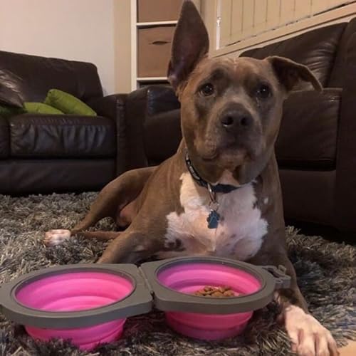 Loving Pets Bella Roma Double Diner Collapsible Dog Bowls - Silicone Dog Bowls, Foldable Bowl, Puppy Essentials & Hiking Pet Supplies Great for Home & Travel (Pink, Medium)