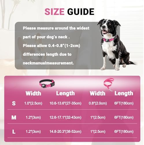 AirTag Dog Collar and Leash, IP68 Waterproof Integrated