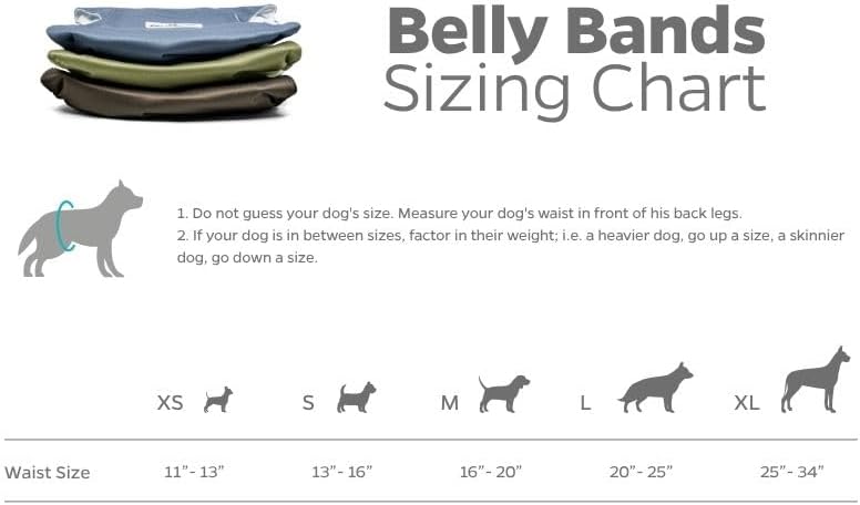 Pet Parents® Washable Belly Bands for Male Dogs (3pack) + Extendrs® of Durable Dog Diapers Male, Premium Male Dog Diapers & Dog Wraps (Medium, Koda)