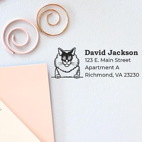 Maine Coon Duo Handcrafted Address Stamp, Cat Return Address Stamp for Pet Lovers, Personalized Mail Seal for Envelopes and Cards