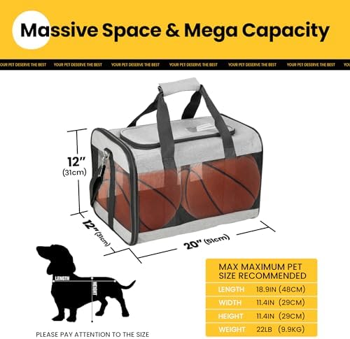 Conlun Dog Carrier Soft Sided, Large Cat Carrier with Inner Safety Leash, Pet Transport Carrier for Large Cats and Medium Dogs up to 20 Lbs, Collapsible Travel Puppy Carrier Bag -Gray L | with Inner Safety Leash, Pet Transport Carrier for Large Cats an...