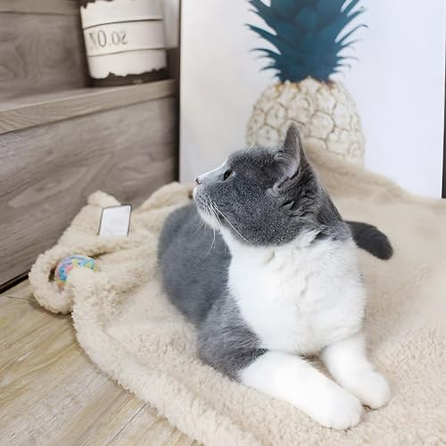 furrybaby Pet Blanket, Soft Warm Sherpa Fleece Bed Blanket for Small Pets