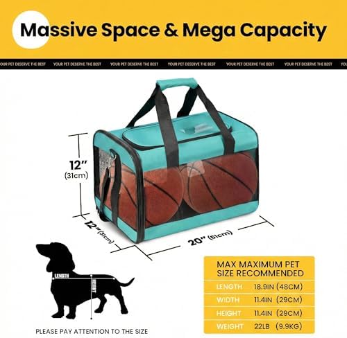 Conlun Dog Carrier Soft Sided, Large Cat Carrier up to 20 Lbs,Turq L | with Inner Safety Leash, Pet Transport Carrier for Large Cats and Medium Dog, Collapsible Puppy Carrier Bag