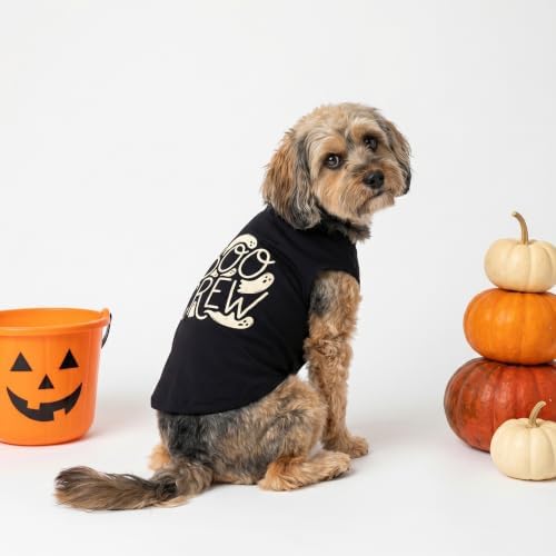 Fitwarm Boo Crew Halloween Dog Shirt, Spooky Costumes for Small Dogs Boy Girl, Funny Pet Outfit, Black, White, XXL