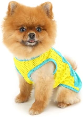 PAIDEFUL Mesh Tank Top for Small Dogs, Green, L