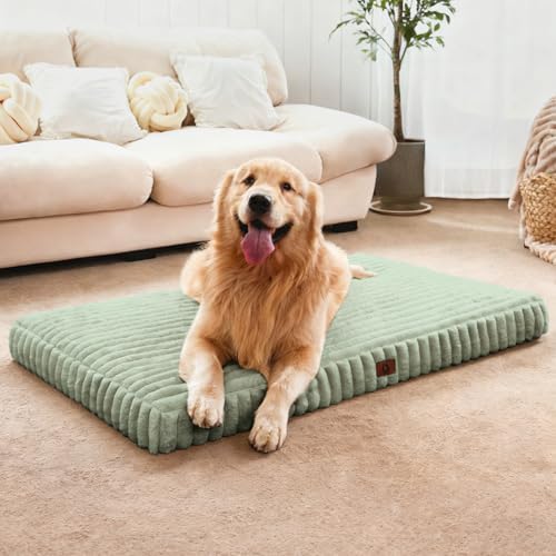 Extra Large Dog Bed Orthopedic Foam with Waterproof Lining | Egg crate foam for joint support. Soft plush surface. Non-slip bottom. Removable & machine washable cover. OEKO-TEX certified