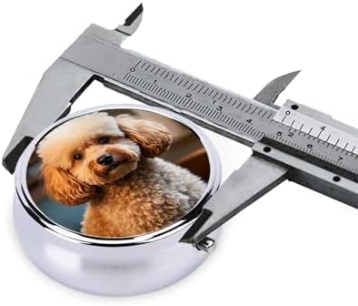 Pill Box with Mirror Cute Pet Poodle 3 Compartment Small Pill Case for Purse Or Pocket Mini Metal Pill Holder Travel Weekly Medicine Tablet Vitamin Holder Organizer Travel Gifts