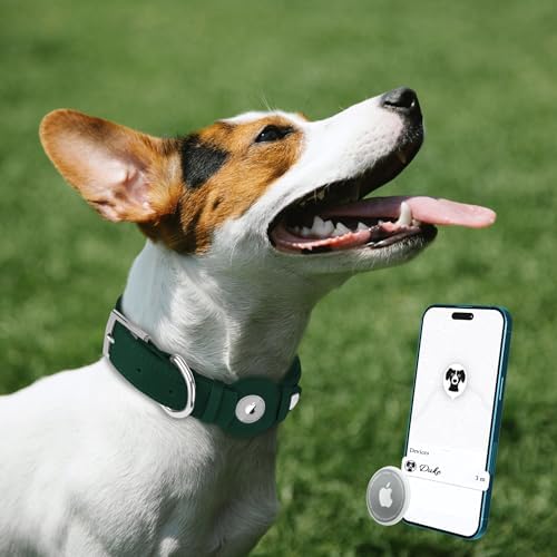 Leather Dog Collar with Airtag Holder - Apple Air Tag Dog Collars - Soft Tracking GPS Pet Collar for Small Medium Large Dogs Breed Puppy (Green, S, 9"-12" Neck Fit)