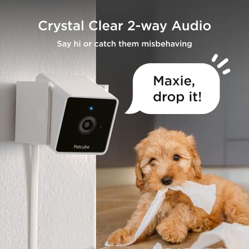 Petcube Cam – Indoor Wi-Fi Pet & Security Camera with App