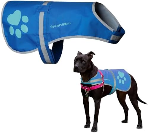 Reflective Dog Vest, Hi Vis Safety Gear for Low-Light Morning & Night Walks