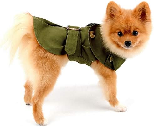 PAIDEFUL Trench Coat for Small Dogs, Green, L