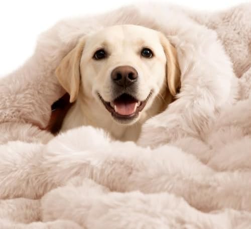 SOMAHE Dog Blanket for Couch Bed, Soft Faux Fur, Large 39x31 Milky White