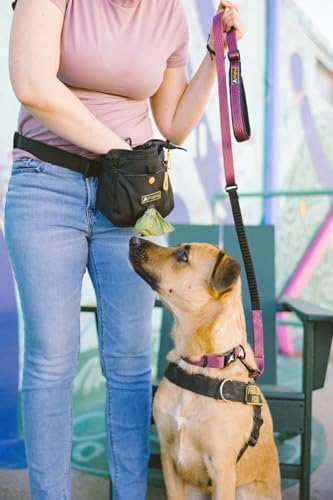 OllyDog Backcountry Day Bag | Hands-Free Dog Training Treat Pouch | Fanny/Hip Pack with Zipper Closure & Built-in Poop Bag Dispenser | Removable Waist Clip (Raven)