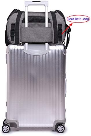 EliteField Soft-Sided Pet Carrier for Cats & Small Dogs (3-Year Warranty) | Airline Approved, Removable Bed & Cover, Built-In Leash, Luggage Sleeve, Seat Belt Loop, Waterproof, Durable, Foldable