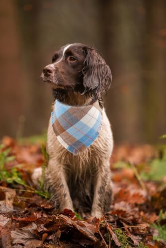 Fall Dog Bandana Autumn Thanksgiving Plaid Reversible Triangle Bibs Scarf