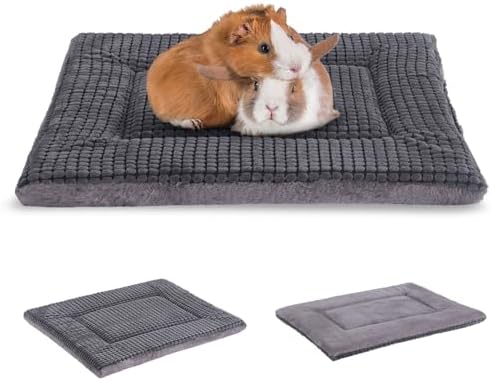 BVAGSS Reversible Dog Crate Pad, Memory Foam Pet Bed Mat, Soft Warm Machine Washable Sleeping Kennel Mattress for Small Medium Dogs XH079 (21''x13''x1.6'',Light Grey)