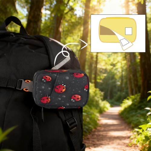 Travel Pill Organizer Black Polka Dot Ladybug Small Pill Case