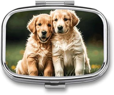 Pill Organizer, Portable Pill Box, Travel 7 Day Pillcase Golden Retriever Dogs Puppies Pets Medicine Organizer 2 Compartments Medicine Container for Vitamins, Medications, Fish Oil and Supplements