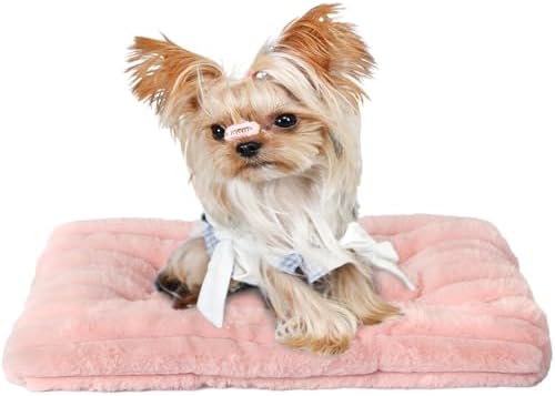 Extra Small Dog Crate Pad 18 x 12 Dog Beds for Tiny Dogs Deluxe Corduroy Fleece Fluffy Comfy Kennel Pad Washable Cute Flat Cat Bed Mat Pink Pet Sleeping Cushion for Mini Small Puppy Breeds XS