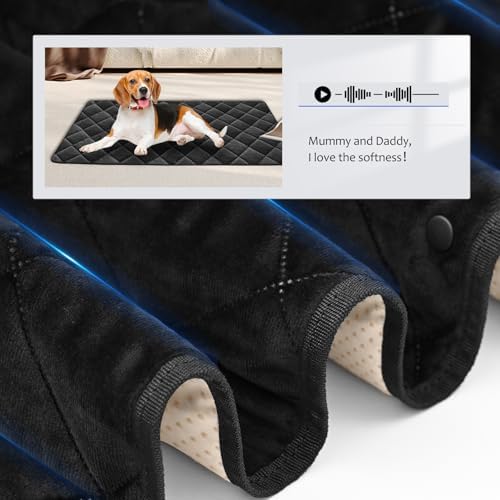 Hard Bottom Dog Car Seat Cover for Back Seat, with 2 Blankets