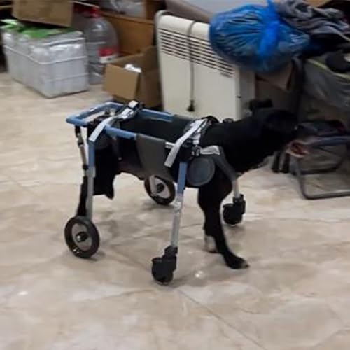 Pet Wheelchair Dog Leg Support Cart for Arthritis Relief & Mobility Rehabilitation, Durable Rubber Tires Easy Fold Design Indoor Rehabilitation