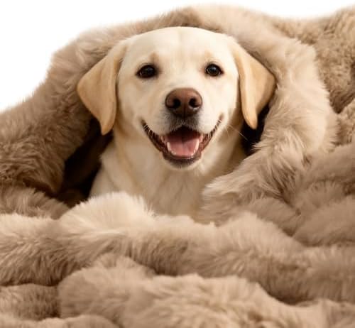 SOMAHE Dog Blanket for Couch Bed, Soft Faux Fur, Large 39x31 Latte Coffee
