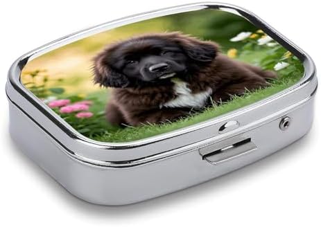 Cute Pet Newfoundland Dog Pill Case Daily Square Small Medicine Case Vitamin Organizer Box 2 Compartments Portable Metal Travel Medicine Box for Vitamins Fish Oils Supplements