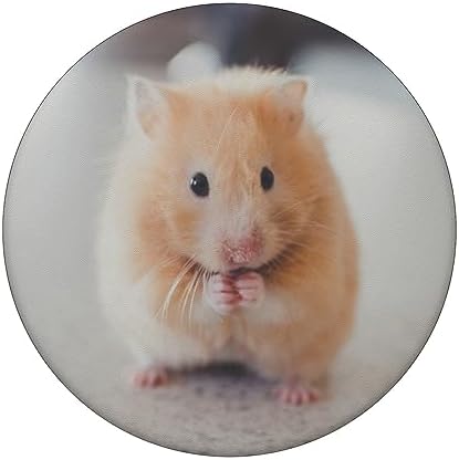 PopSockets Hamster PopGrip Adhesive Grip Stand for Smartphones (Black)