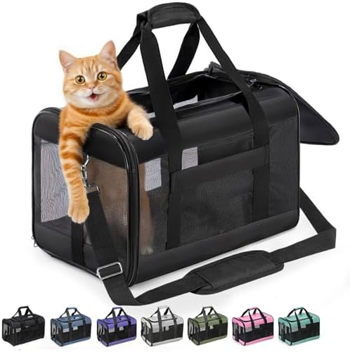 Conlun Cat Carrier Soft-Sided Pets Travel Carriers up to 15 Lbs,Black M | Airline Approved,with Inner Safety Leash,Collapsible Pet Transport Carrier for Small Dog/Medium Cats