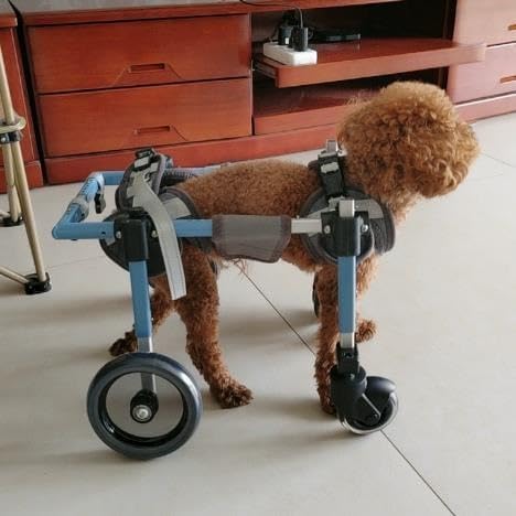 Dog Wheelchair for Hind Legs Support, XS-XXL Adjustable Length Width Small Dog Mobility Cart Post Surgery Recovery Aid for Disabled Arthritic Paralyzed Dogs