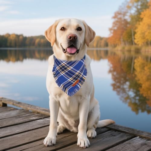 ADOGGYGO Dog Bandana Boy, Blue Plaid Cotton Scarf with Fringe, X-Large