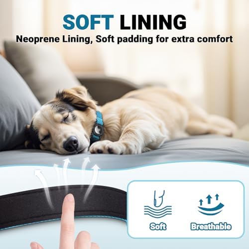 AirTag Dog Collar and Leash, IP68 Waterproof Integrated
