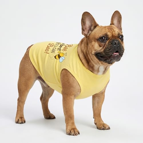 Fitwarm Bee the Best You Can Dog Shirt, Summer Clothes for Small Dogs Boy Girl, Funny Pet Outfit, Yellow, Brown, Blue, Large
