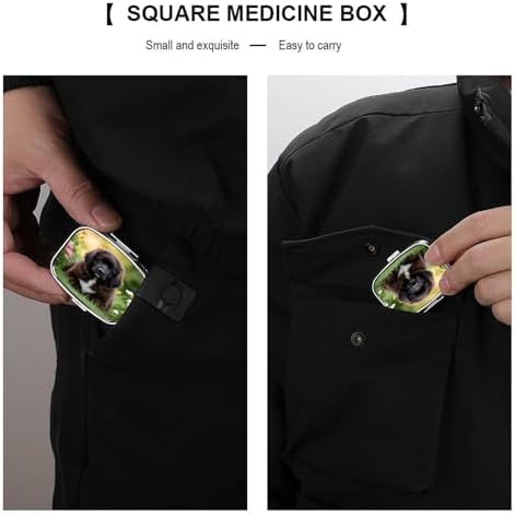 Cute Pet Newfoundland Dog Pill Case Daily Square Small Medicine Case Vitamin Organizer Box 2 Compartments Portable Metal Travel Medicine Box for Vitamins Fish Oils Supplements