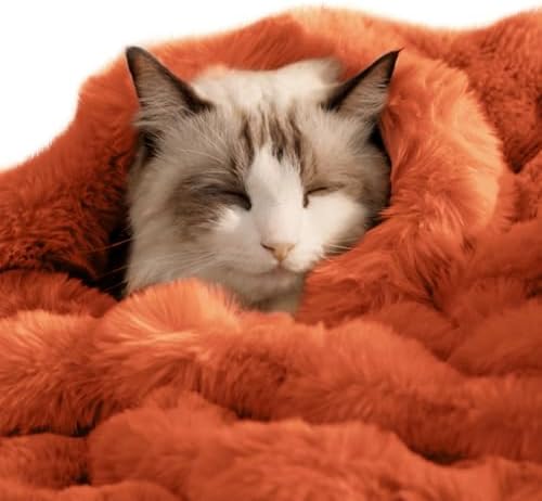 SOMAHE Soft Faux Fur Cat Blanket, Washable, Small 22x18 Vibrant Orange