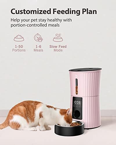 Petory Timed Automatic Cat Feeder - 4L Dry Food Dispenser for Cats and Dogs