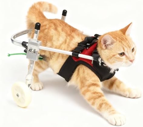 Dog Wheelchair for Back Legs Adjustable Pet Mobility Cart for Hind Leg Durable，Breathable Mobility Aid for Hip Dysplasia Support & Rehab Walking